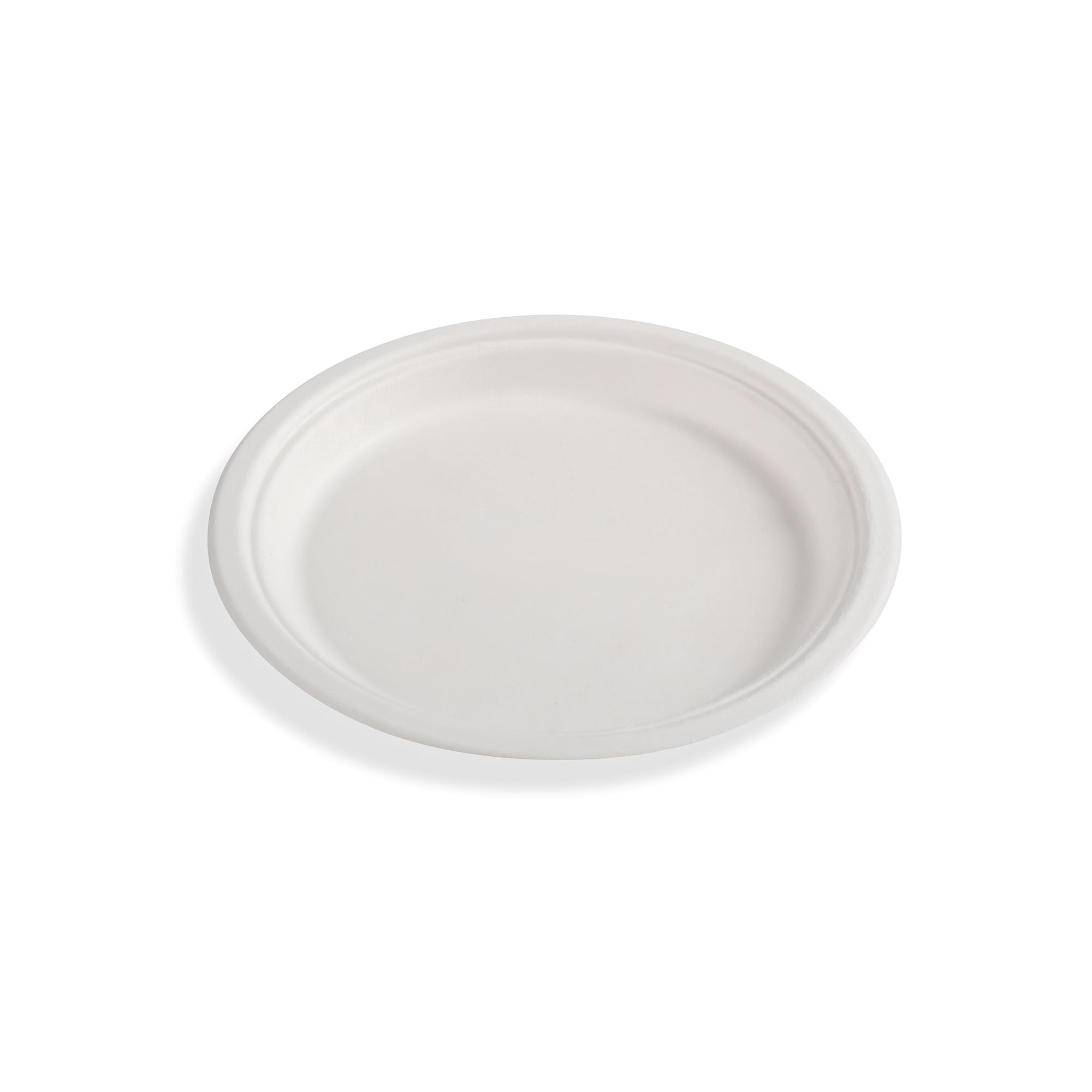 Plate 11_ Plain 1