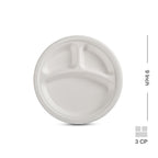 Plate 9_ 3CP
