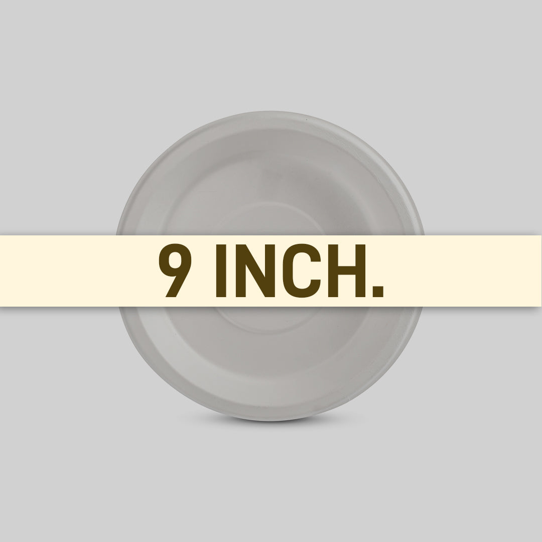 Plate 9_ Plain 3 Size