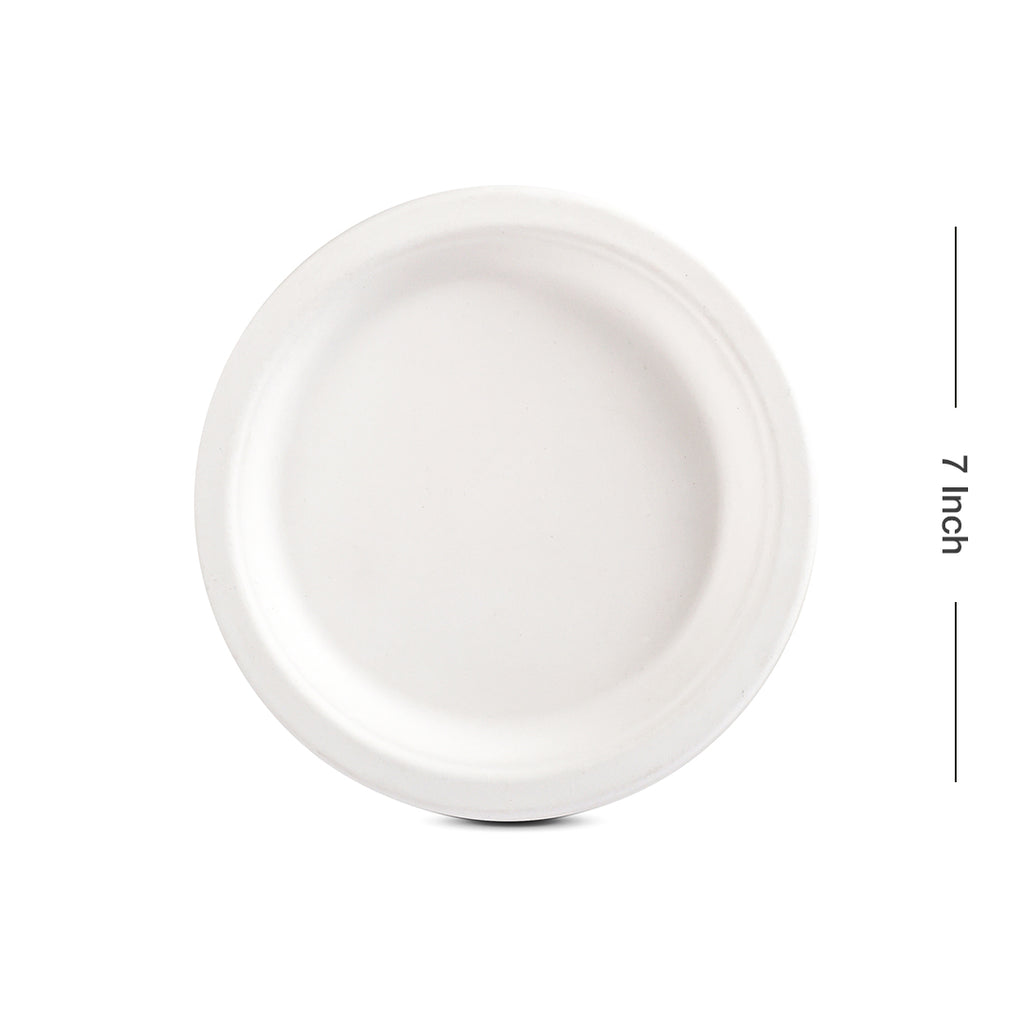 Plate 7_ 2