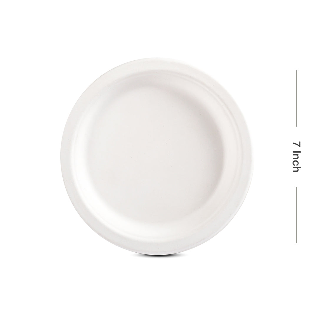 Plate 7_ 2