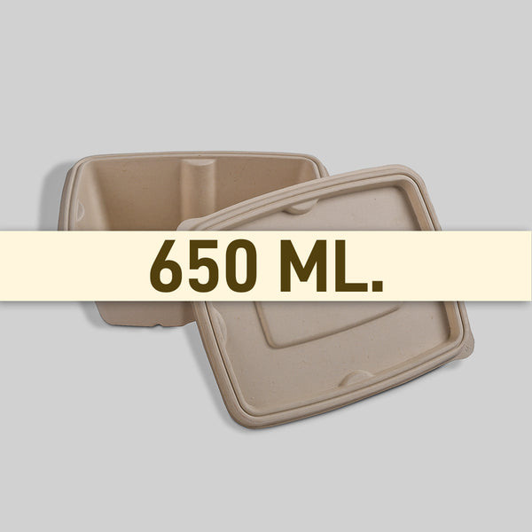 Container 650 ML Meal Box Size