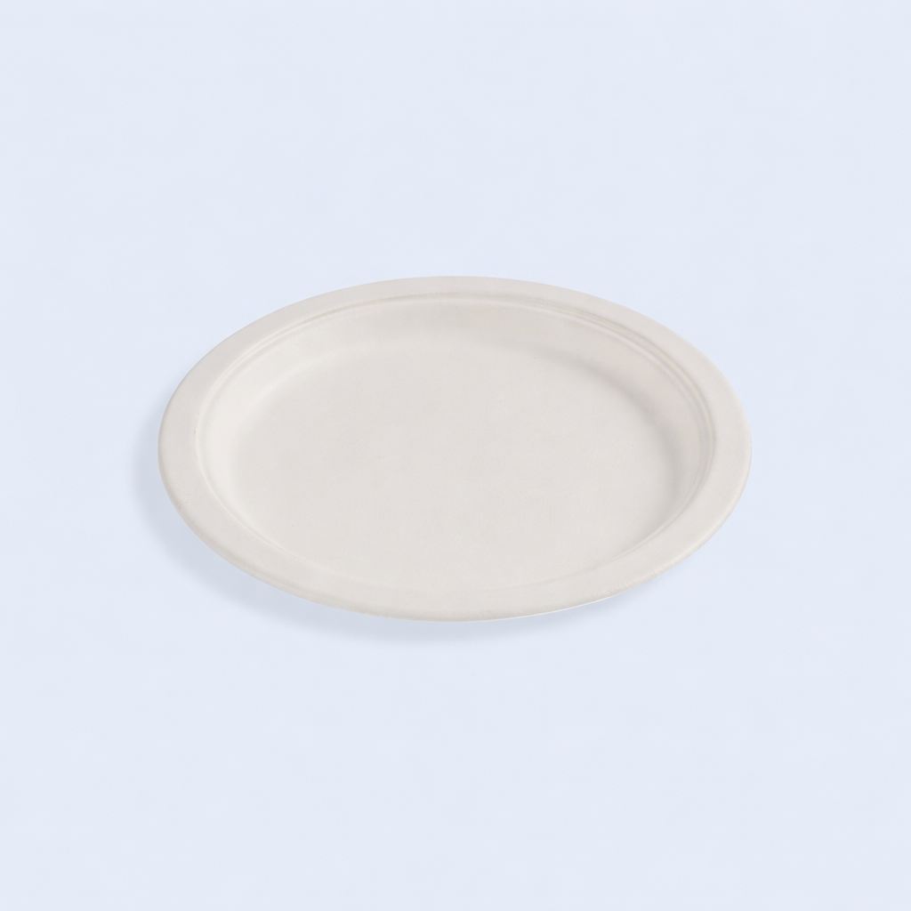 Plate 9_ Plain 4