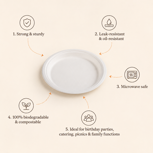 11 Inch Round Bagasse Plate – Eco-Friendly Compostable Full Meal Plate