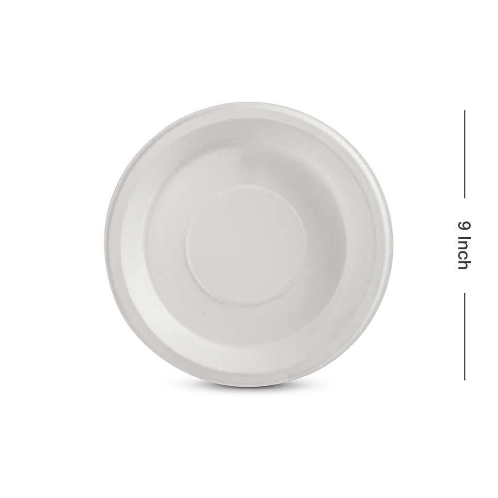 Plate 9_ Plain 3
