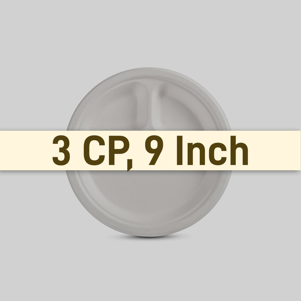 Plate 9_ 3CP SIze