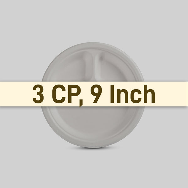 Plate 9_ 3CP SIze