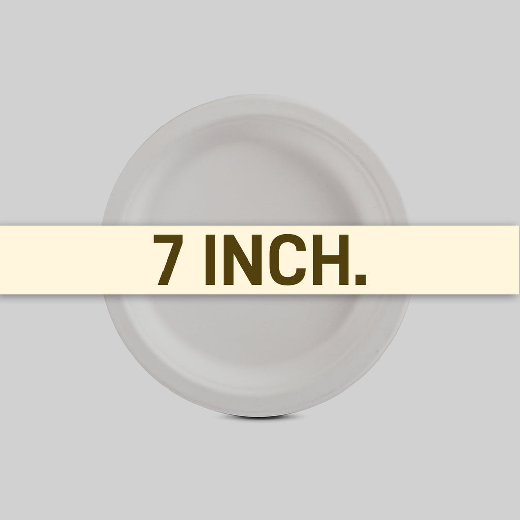 Plate 7_ 2 Size