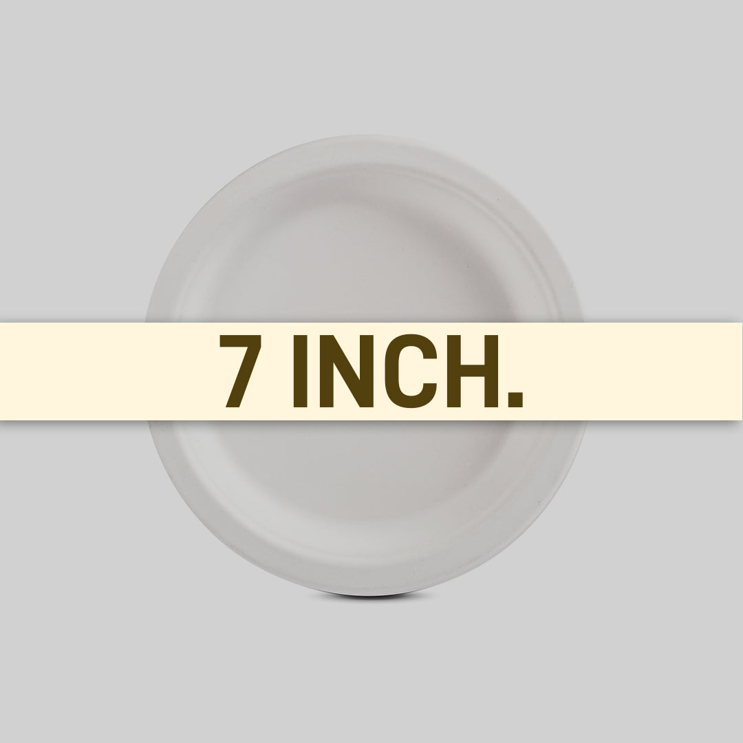 Plate 7_ 2 Size