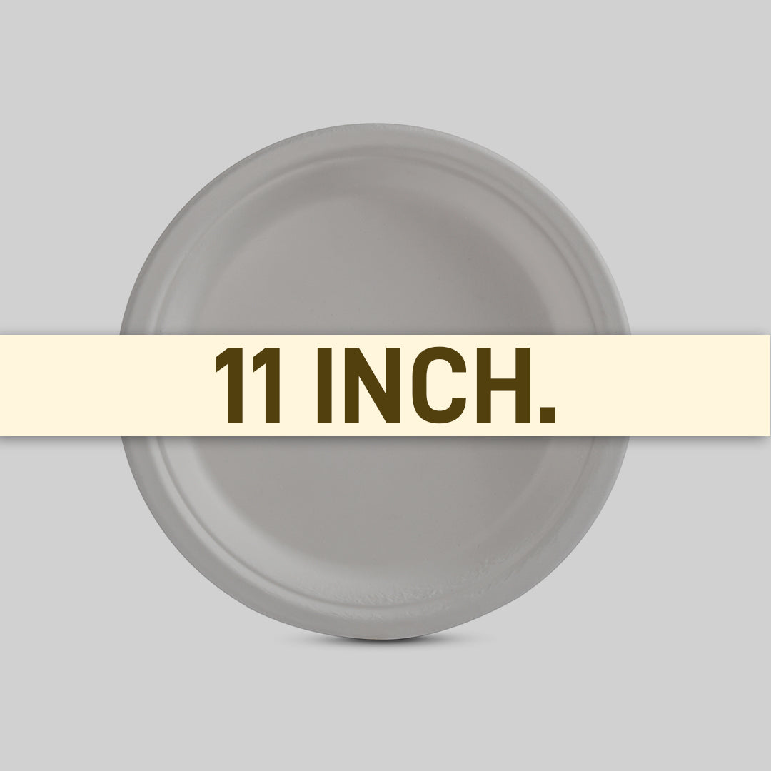 Plate 11_ Plain 3 Size