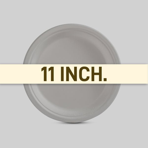 Plate 11_ Plain 3 Size