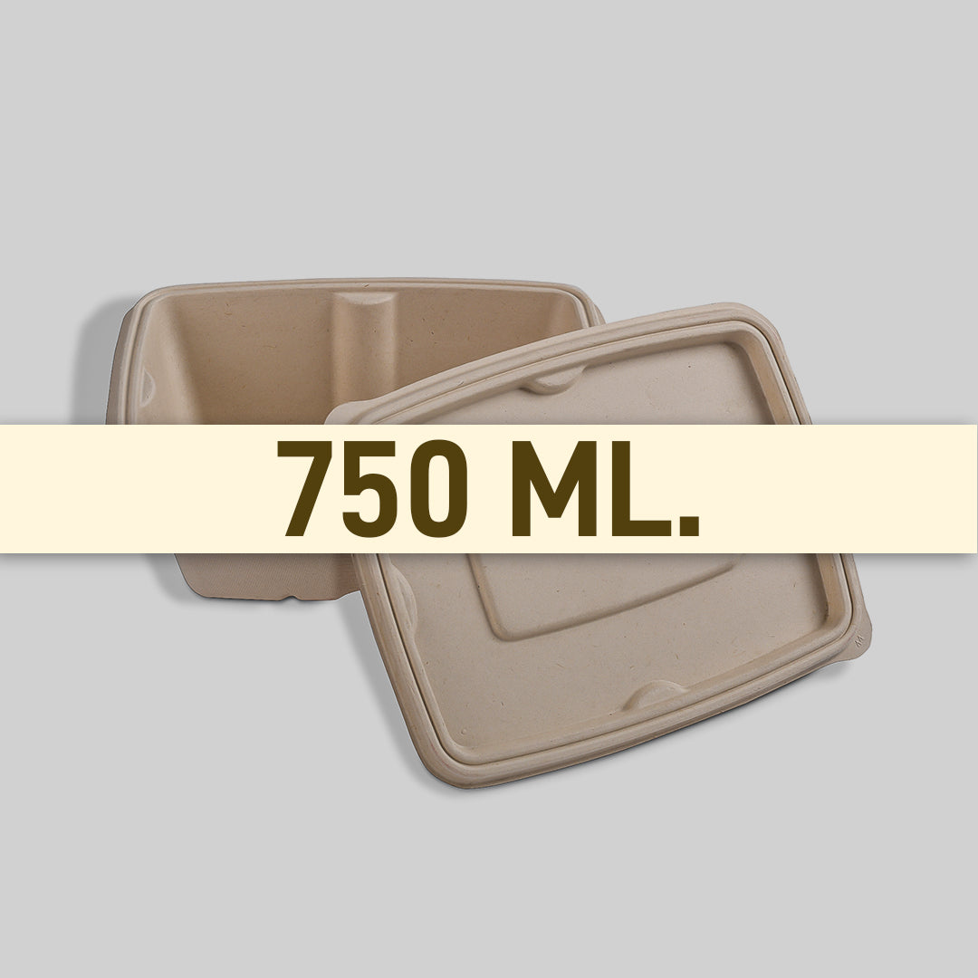 Container 750 ML Meal Box Size
