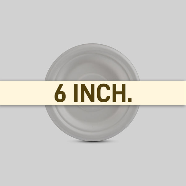 Plate 6_ Design Size