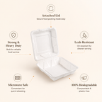 8x8 Inch Bagasse Clamshell Box – Compostable Meal Packaging Container